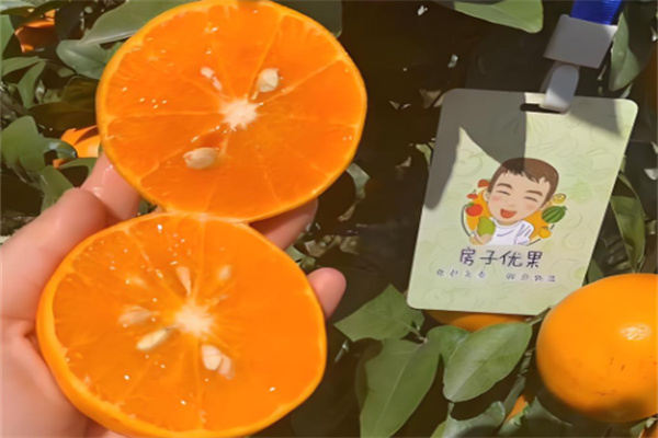 房子优果