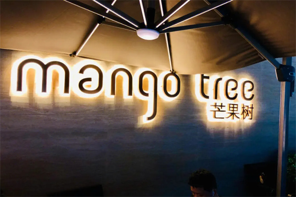 mangotree芒果树