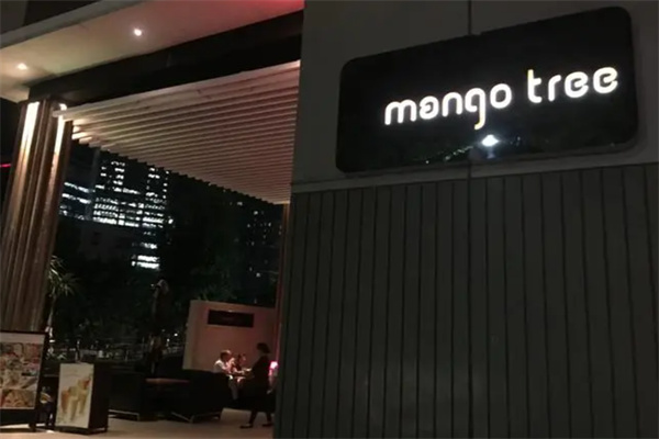 mangotree芒果树