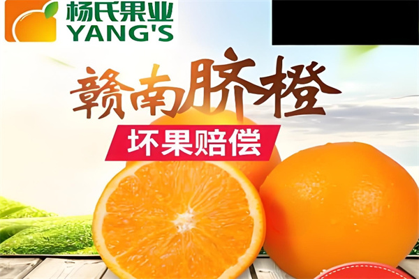 杨氏果业