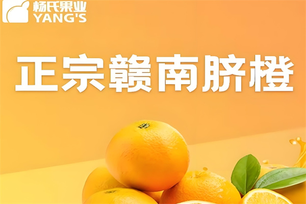 杨氏果业