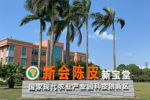 新宝堂陈皮