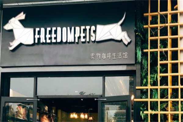 宠物主题咖啡厅