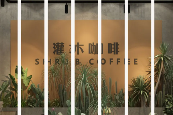 灌木咖啡