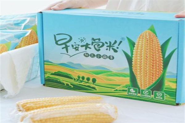 随心食季早安大苞米