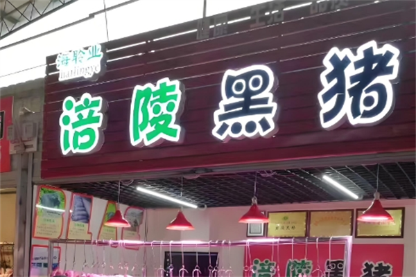 涪陵黑猪 涪陵黑猪