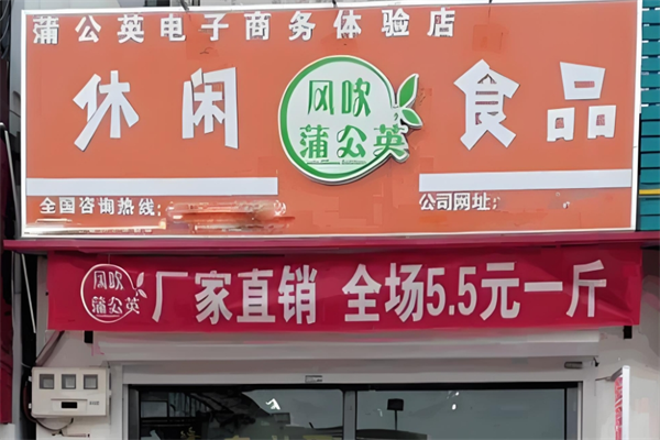 风吹蒲公英休闲食品 风吹蒲公英休闲食品