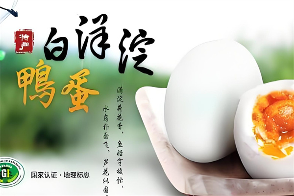白洋淀咸鸭蛋加盟 白洋淀咸鸭蛋加盟