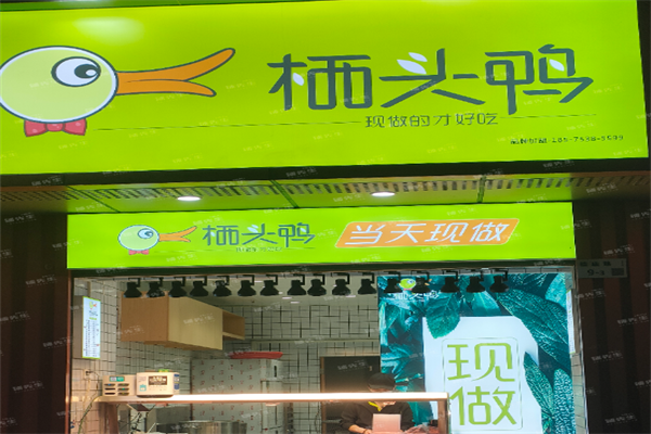 栖头鸭