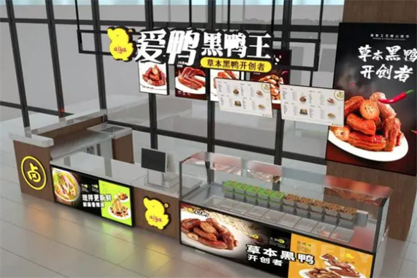 爱鸭黑鸭王