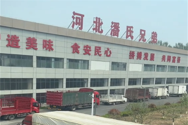 潘氏兄弟休闲食品 潘氏兄弟休闲食品