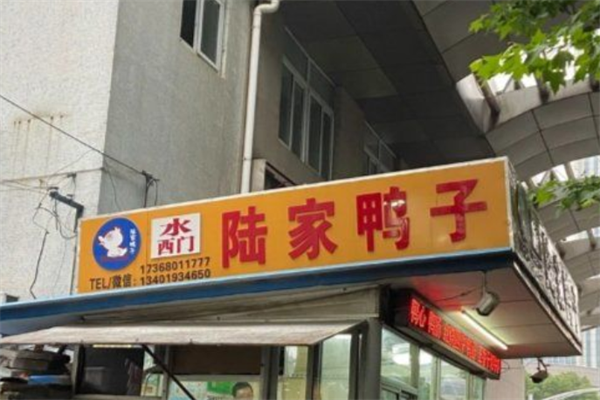 陆家鸭子