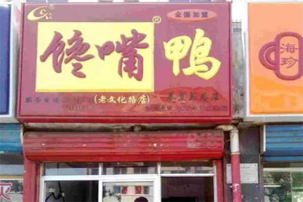 馋嘴鸭休闲食品