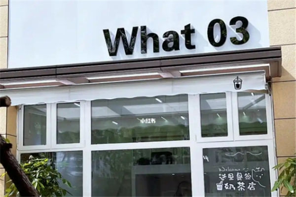 what-03奶茶 what-03奶茶
