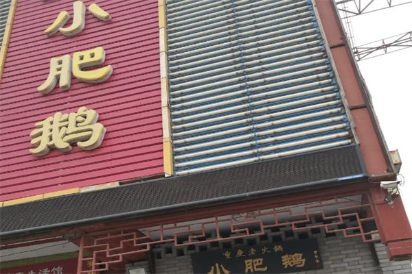 小肥鹅火锅