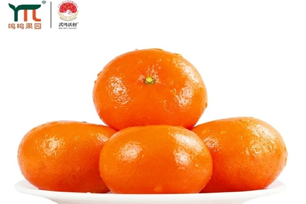 鸣鸣果园 鸣鸣果园