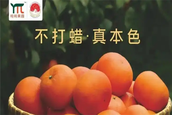 鸣鸣果园 鸣鸣果园