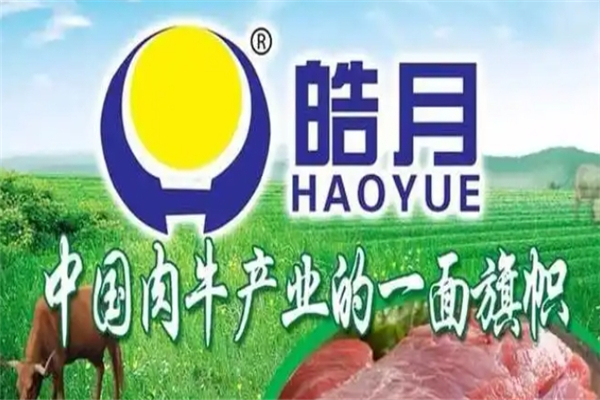 皓月牛肉加盟 皓月牛肉加盟