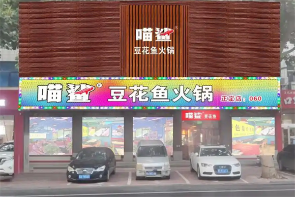 喵鲨豆花鱼火锅