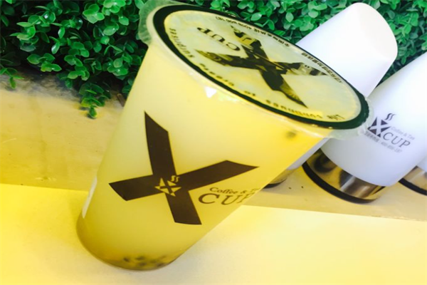 X造杯