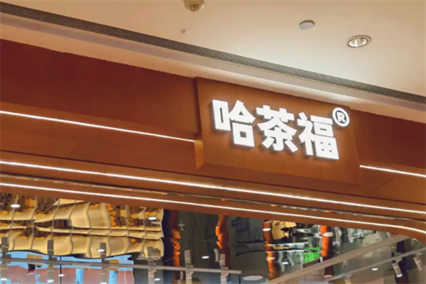 哈茶福
