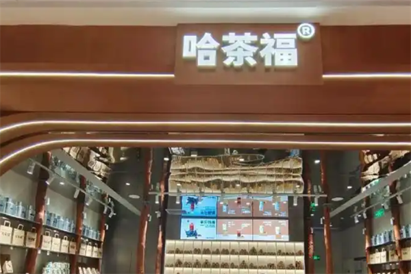 哈茶福