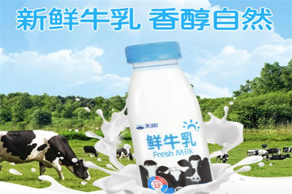天润牛奶