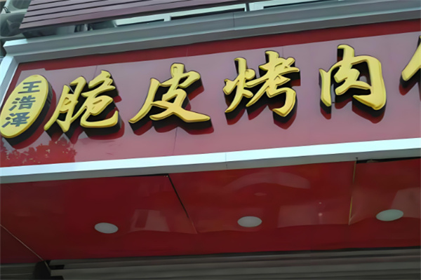 王浩泽脆皮烤肉饭