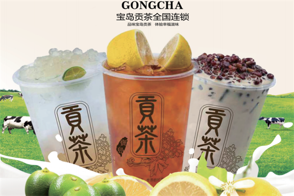 宝岛贡茶