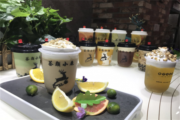 茶颜小鹿 茶颜小鹿