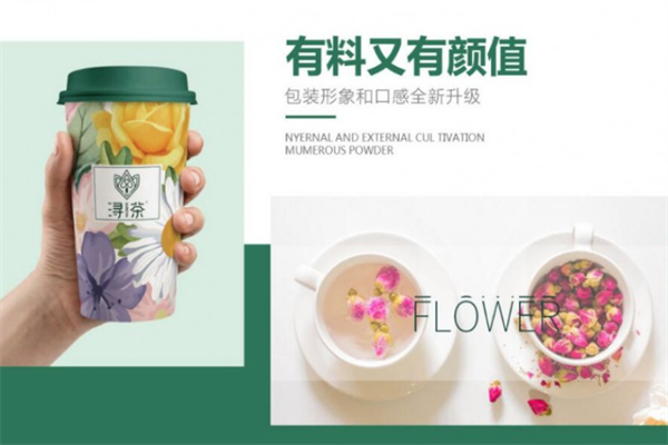 浔茶