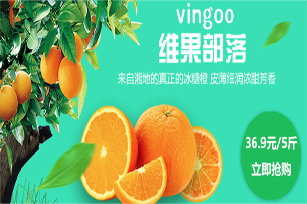 维果部落 维果部落