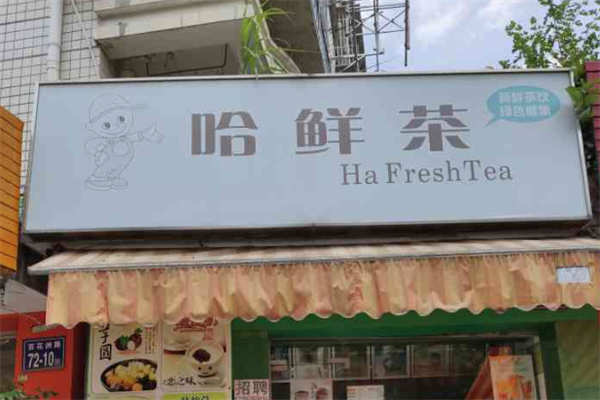 哈鲜茶