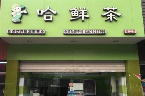哈鲜茶