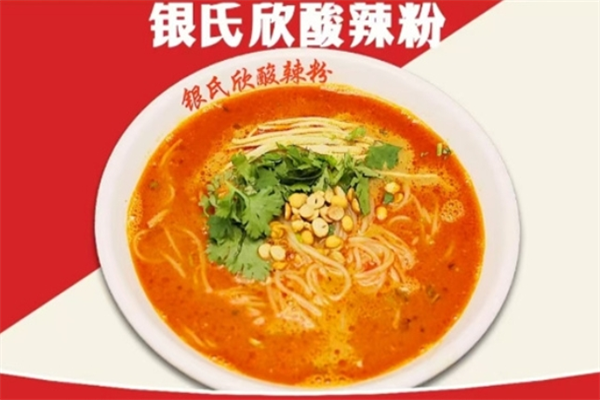 银氏欣酸辣粉