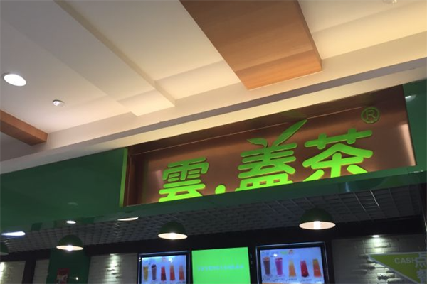 云盖茶