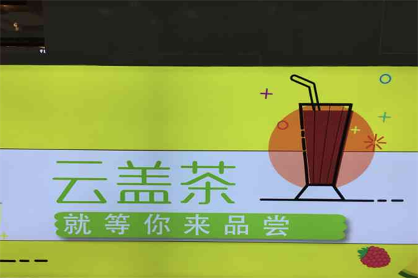 云盖茶