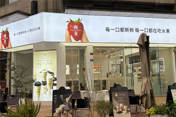 树夏奶茶加盟电话是多少？助你轻松开启创业之旅