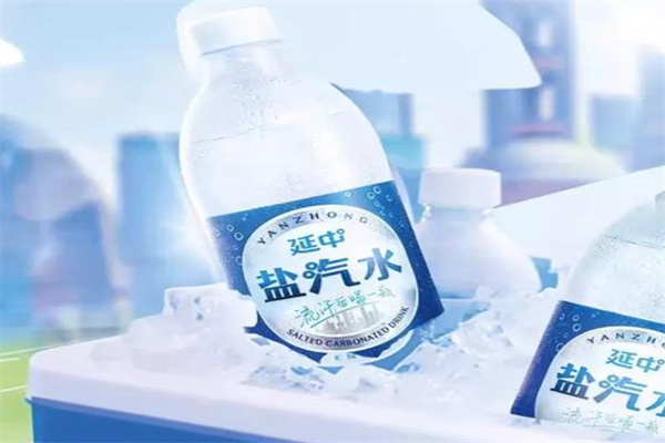 延中盐汽水