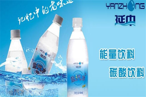 延中盐汽水