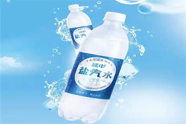 延中盐汽水