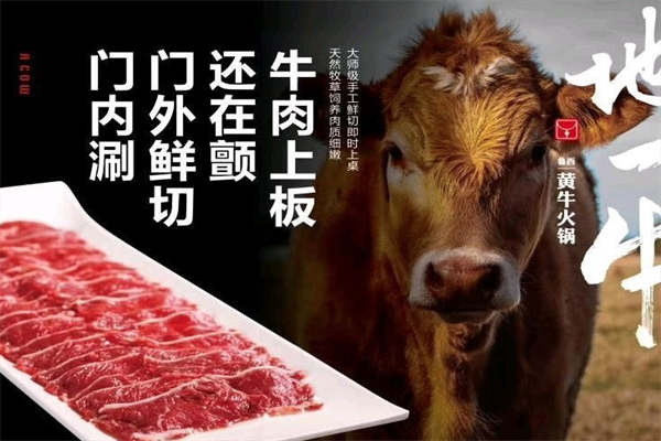 地一牛鲁西黄牛火锅