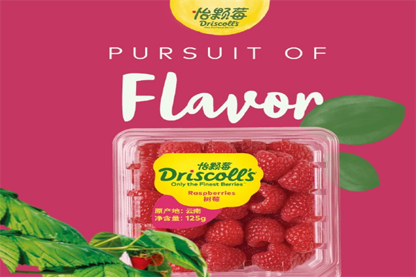 Driscoll's怡颗莓 Driscoll's怡颗莓