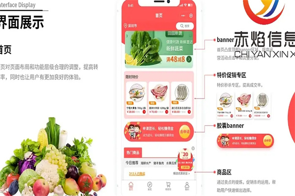 蝌蚪精选