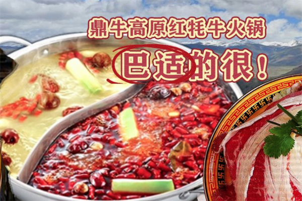 鼎牛高原红牦牛火锅