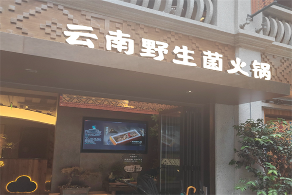 云南野生菌火锅
