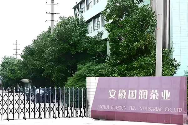 国润茶业
