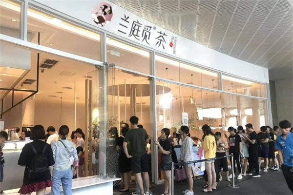 兰庭觅茶