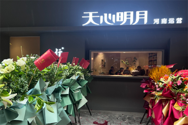 天心明月