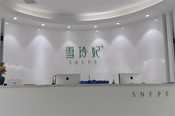 雪玲妃彩妆
